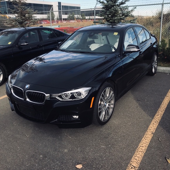 Meet your Posher, Sunny - Picture 1 of 1